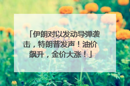 伊朗对以发动导弹袭击，特朗普发声！油价飙升，金价大涨！