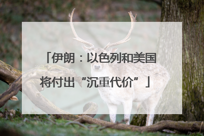 伊朗：以色列和美国将付出“沉重代价”