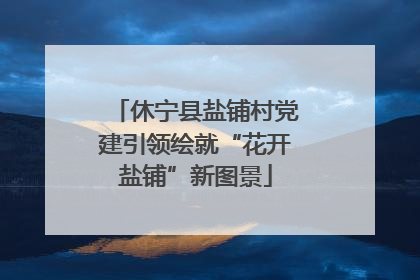 休宁县盐铺村党建引领绘就“花开盐铺”新图景