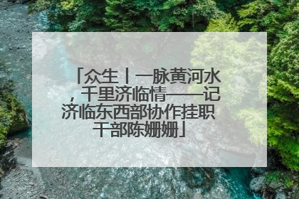 众生丨一脉黄河水，千里济临情——记济临东西部协作挂职干部陈姗姗