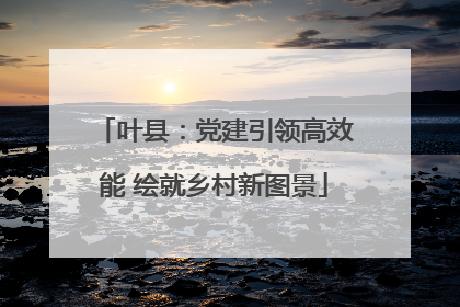 叶县：党建引领高效能 绘就乡村新图景