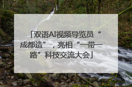 双语AI视频导览员“成都造”，亮相“一带一路”科技交流大会
