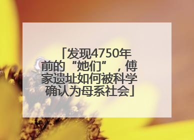 发现4750年前的“她们”，傅家遗址如何被科学确认为母系社会
