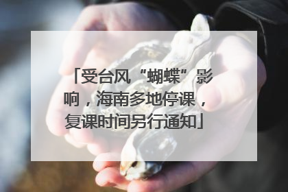 受台风“蝴蝶”影响，海南多地停课，复课时间另行通知