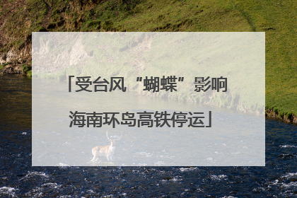受台风“蝴蝶”影响 海南环岛高铁停运