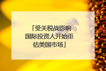 受关税战影响 国际投资人开始重估美国市场