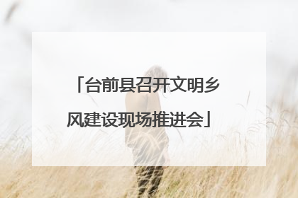 台前县召开文明乡风建设现场推进会