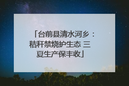 台前县清水河乡：秸秆禁烧护生态 三夏生产保丰收
