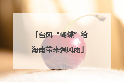 台风“蝴蝶”给海南带来强风雨