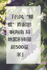 台风“蝴蝶”昨起影响海南 局地累积雨量超500毫米