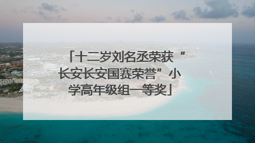 十二岁刘名丞荣获“长安长安国赛荣誉”小学高年级组一等奖