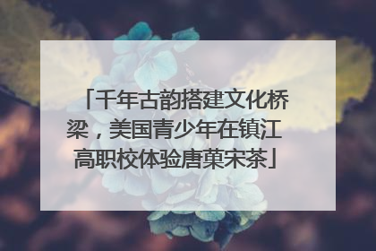千年古韵搭建文化桥梁，美国青少年在镇江高职校体验唐菓宋茶