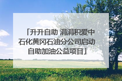 升升自助 涓涓积爱中石化黄冈石油分公司启动自助加油公益项目