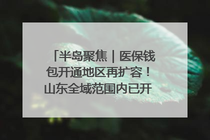 半岛聚焦｜医保钱包开通地区再扩容！山东全域范围内已开通，有何用处？如何操作？速戳→