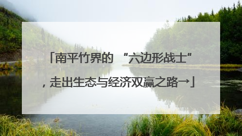 南平竹界的 “六边形战士”，走出生态与经济双赢之路→