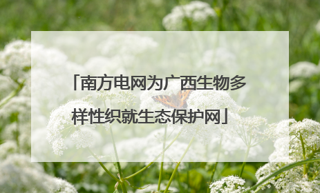 南方电网为广西生物多样性织就生态保护网