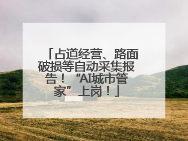 占道经营、路面破损等自动采集报告！“AI城市管家”上岗！