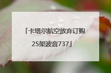 卡塔尔航空放弃订购25架波音737