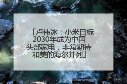 卢伟冰：小米目标2030年成为中国头部家电，非常期待和美的海尔并列