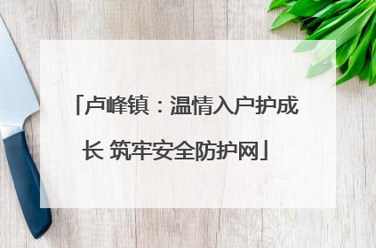 卢峰镇：温情入户护成长 筑牢安全防护网