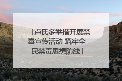 卢氏多举措开展禁毒宣传活动 筑牢全民禁毒思想防线