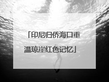 印尼归侨海口重温琼崖红色记忆