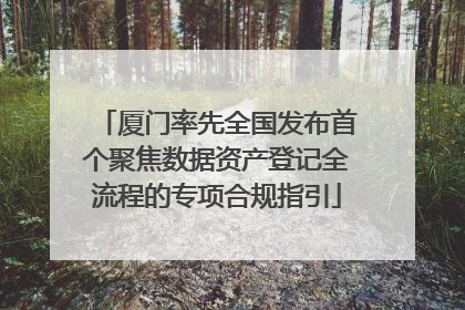 厦门率先全国发布首个聚焦数据资产登记全流程的专项合规指引