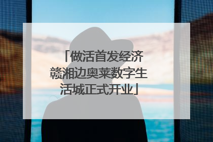 做活首发经济 赣湘边奥莱数字生活城正式开业