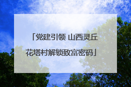 党建引领 山西灵丘花塔村解锁致富密码