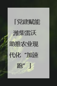 党建赋能 潍柴雷沃助推农业现代化“加速跑”