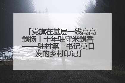 党旗在基层一线高高飘扬丨十年驻守米飘香——驻村第一书记莫日发的乡村印记