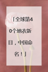 全球第40个地衣新目，中国命名！