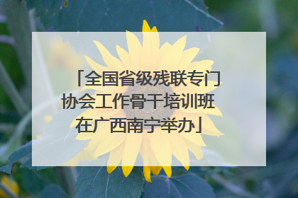 全国省级残联专门协会工作骨干培训班在广西南宁举办