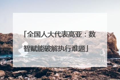 全国人大代表高亚：数智赋能破解执行难题