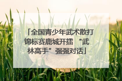 全国青少年武术散打锦标赛鹿城开擂 “武林高手”强强对话