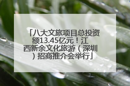 八大文旅项目总投资额13.45亿元！江西新余文化旅游（深圳）招商推介会举行