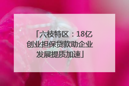 六枝特区：18亿创业担保贷款助企业发展提质加速