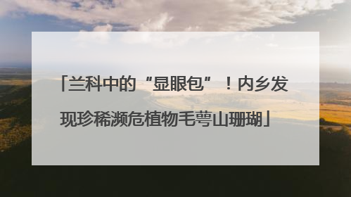兰科中的“显眼包”！内乡发现珍稀濒危植物毛萼山珊瑚