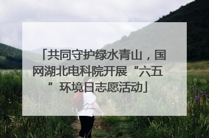 共同守护绿水青山，国网湖北电科院开展“六五”环境日志愿活动