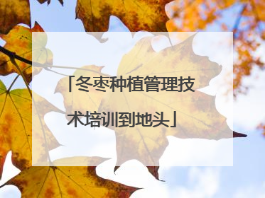 冬枣种植管理技术培训到地头