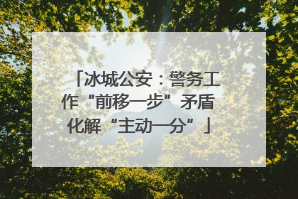 冰城公安：警务工作“前移一步”矛盾化解“主动一分”