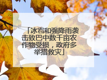 冰雹和强降雨袭击致巴中数千亩农作物受损，政府多举措救灾