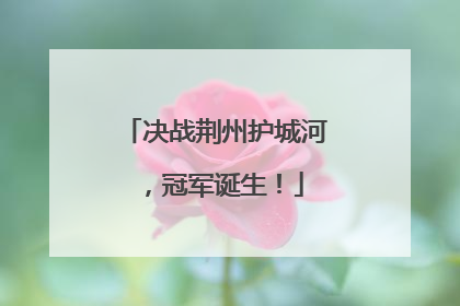 决战荆州护城河，冠军诞生！