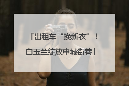 出租车“换新衣”！白玉兰绽放申城街巷