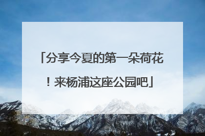分享今夏的第一朵荷花！来杨浦这座公园吧