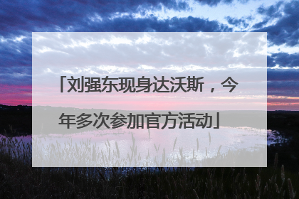 刘强东现身达沃斯，今年多次参加官方活动