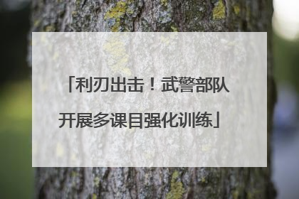 利刃出击！武警部队开展多课目强化训练