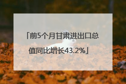前5个月甘肃进出口总值同比增长43.2%
