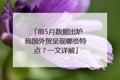 前5月数据出炉 我国外贸呈现哪些特点？一文详解