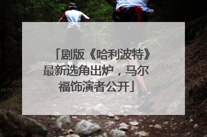剧版《哈利波特》最新选角出炉，马尔福饰演者公开